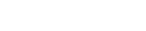 light logo